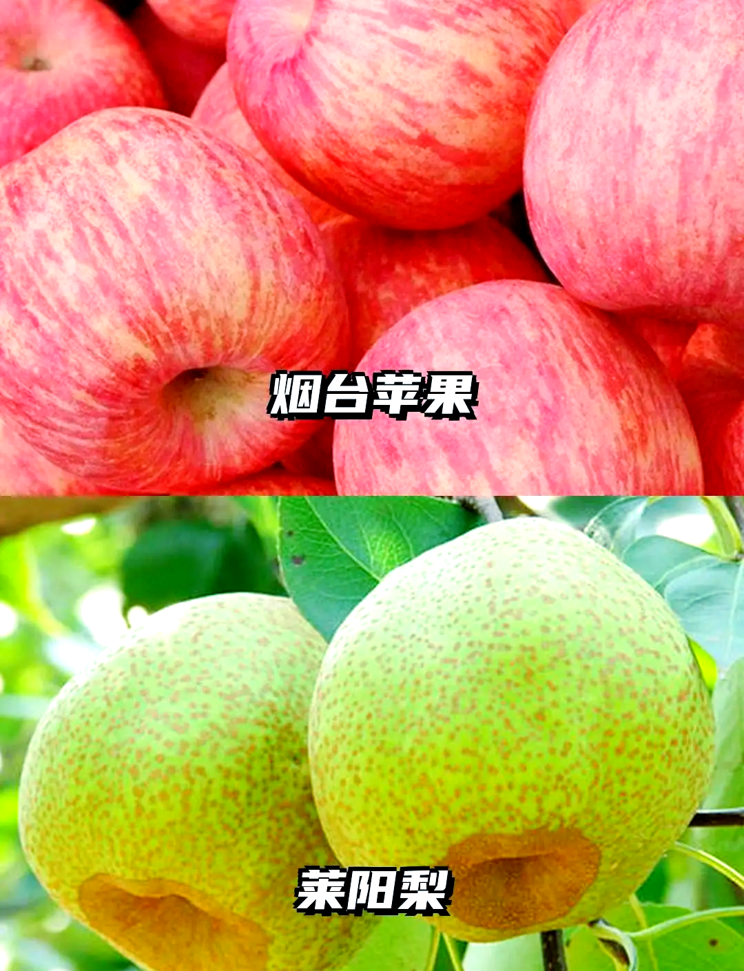 烟台有哪些值得送人的特产