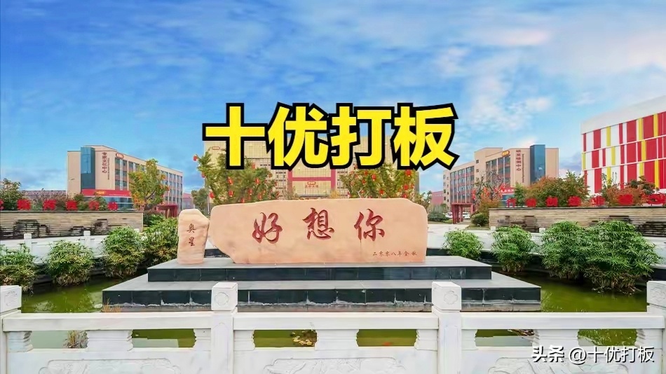 002582好想你最新消息