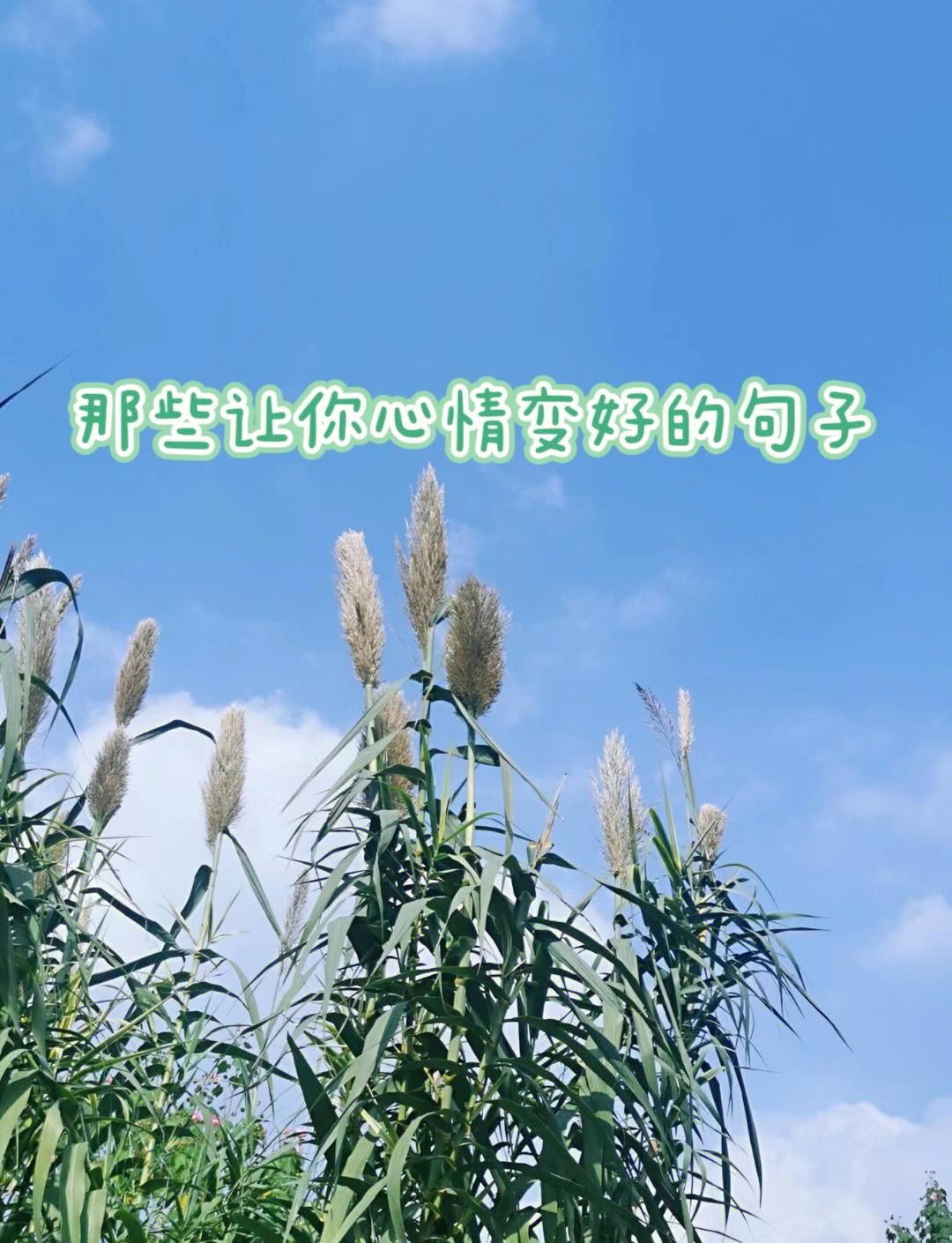 表达感情慢慢变淡的说说句子