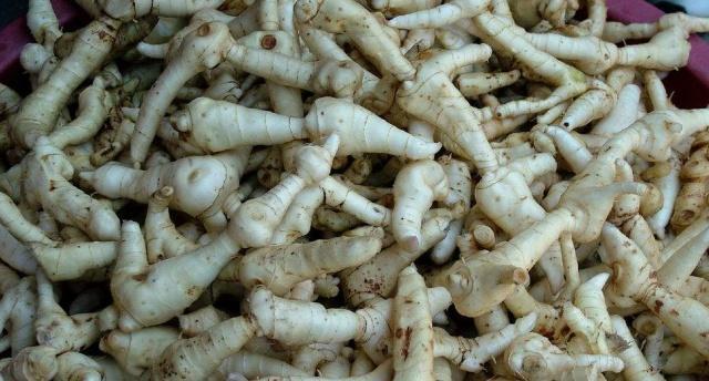 鸡黄有什么药用价值价格又是多少