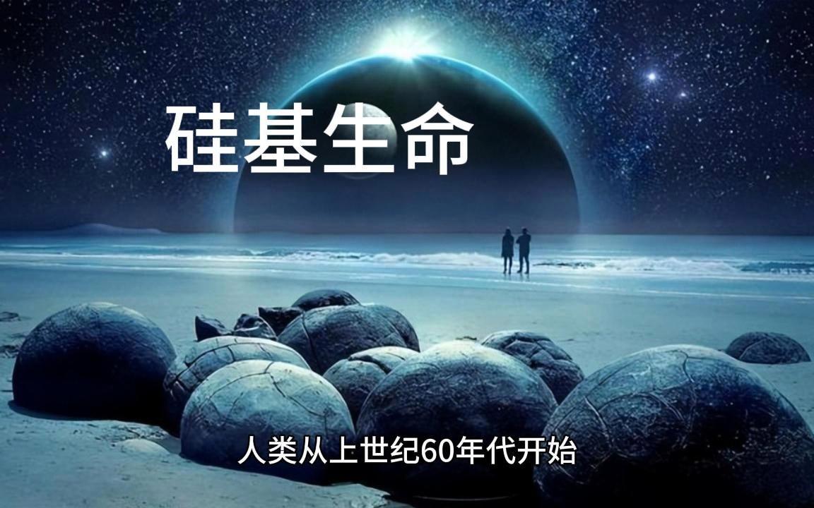河南村镇银行:数量之谜与生存之谜