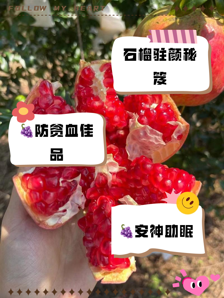石榴属于凉性还是热性呢