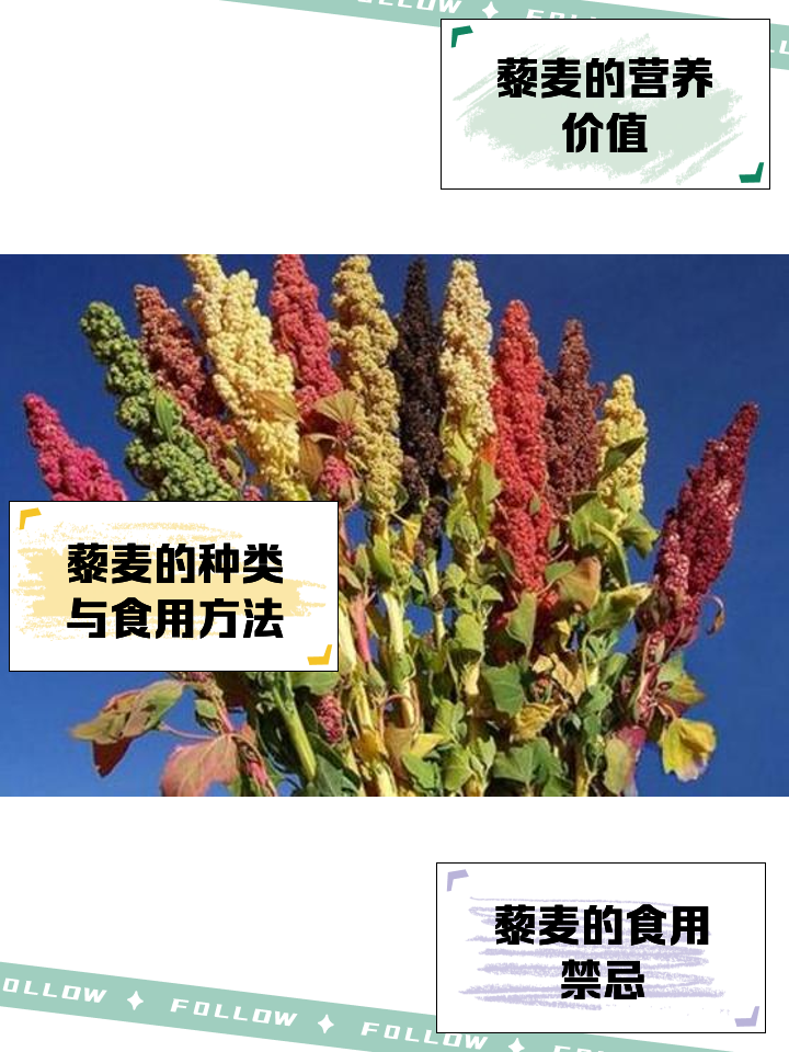 藜麦6种食用方法简单介绍