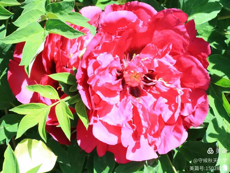 2019年什么时候打春？