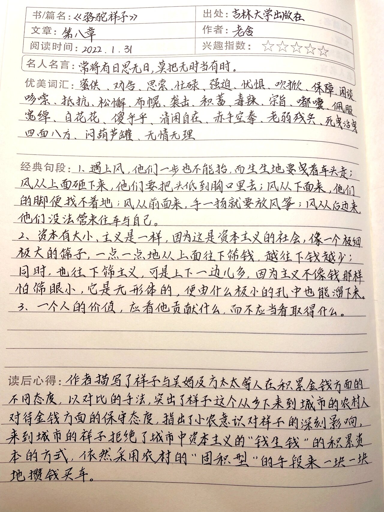 《骆驼祥子》读后感800字作文