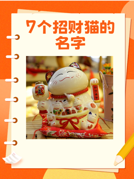 不俗气的猫咪名字招财吉利大全
