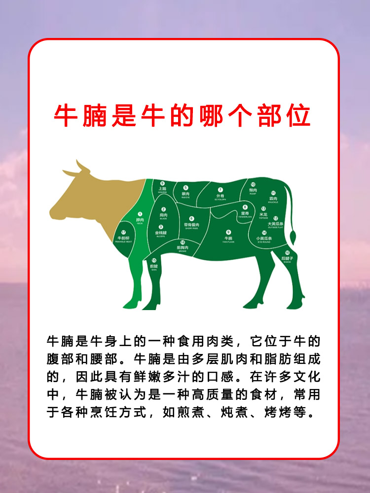 什么是牛腩牛腩长在牛的那里的