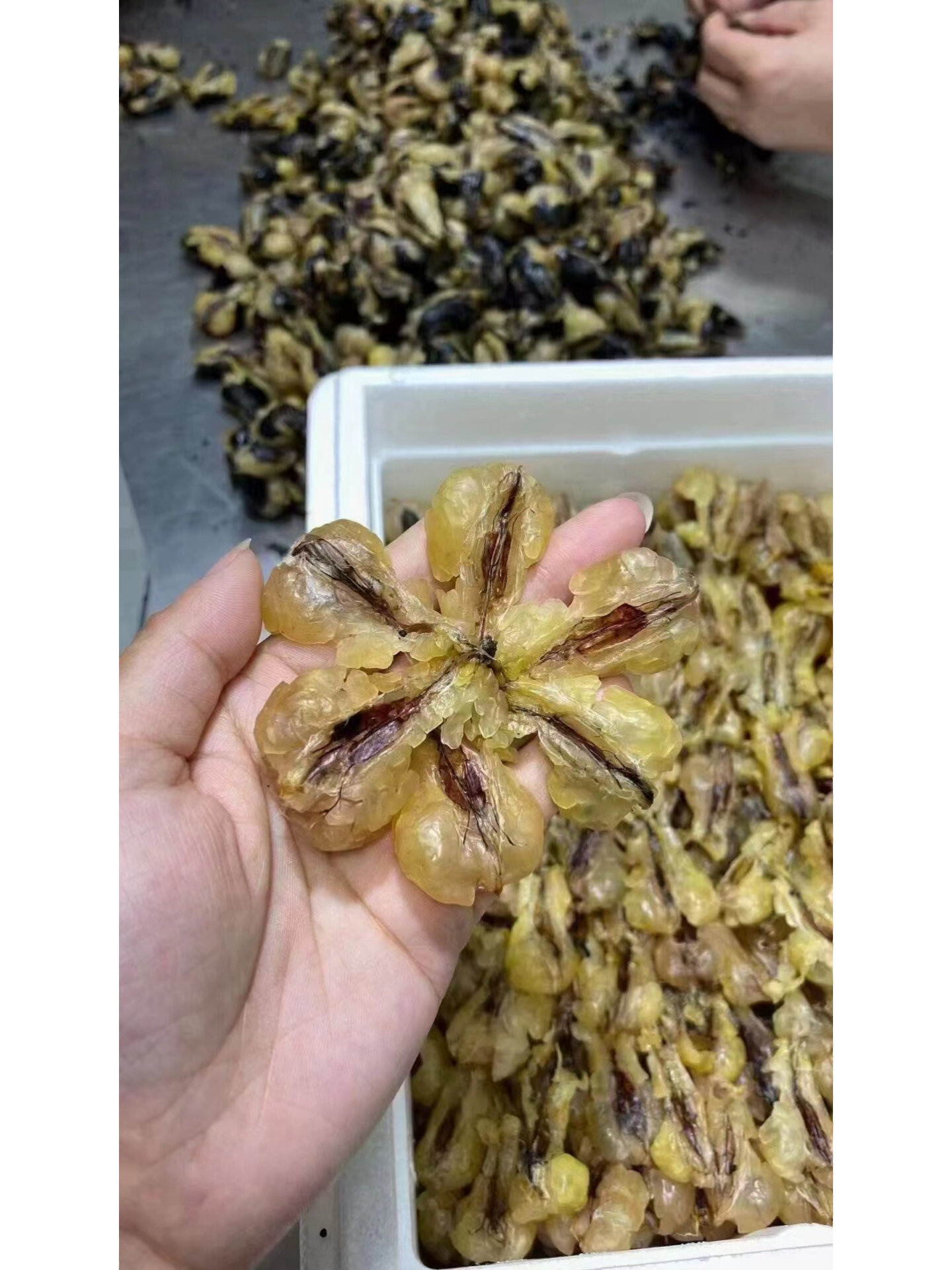 蛤蟆油的功效与作用及食用方法