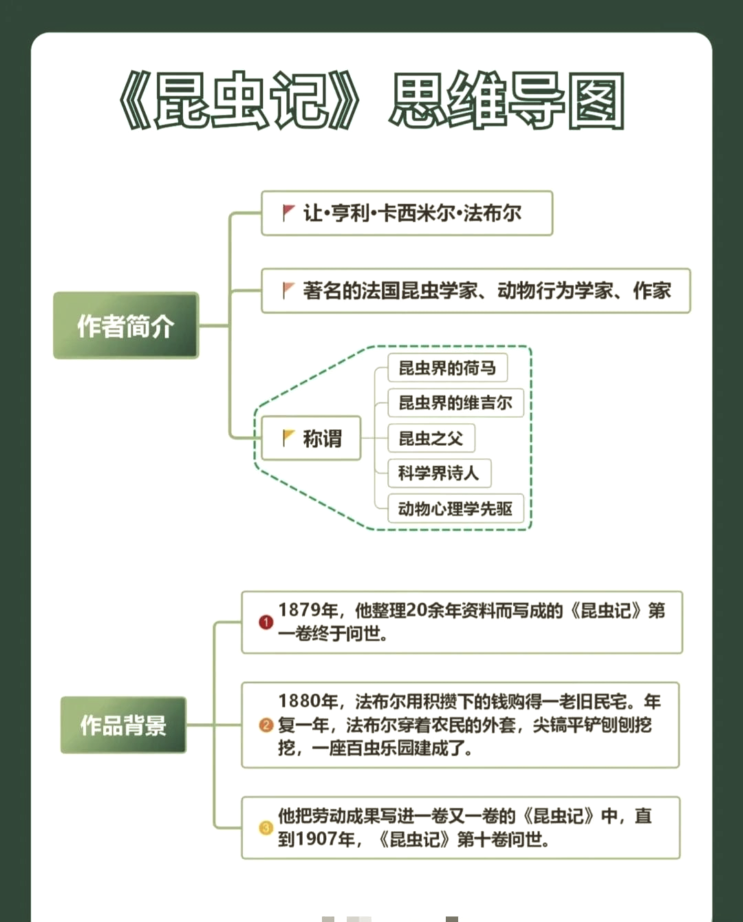 昆虫记1一20章的内容简介