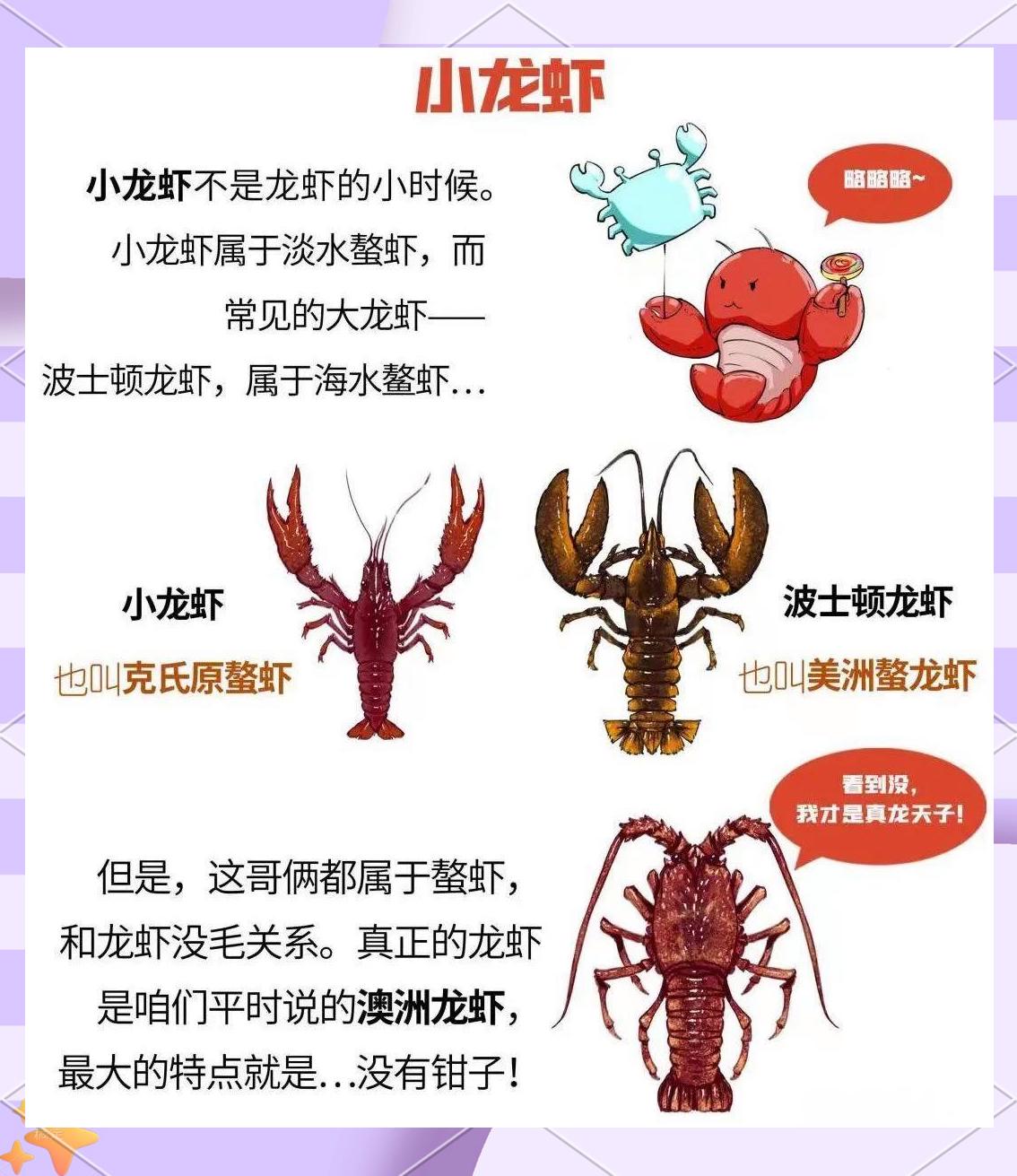 吃小龙虾不能和什么一起吃