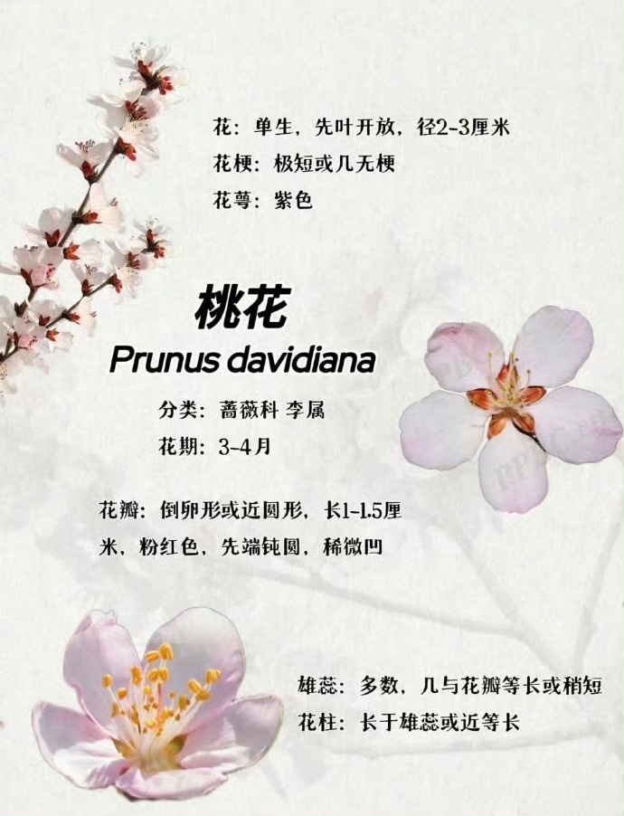 等闲识的东风面万紫千红总是春的意思