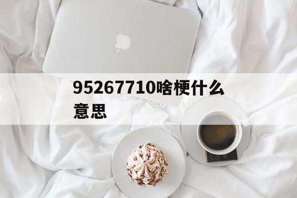 95267710啥梗什么意思