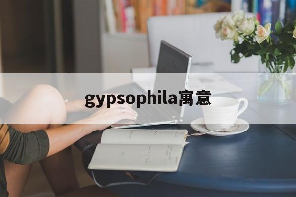 gypsophila寓意