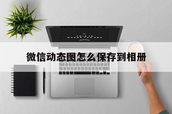 微信动态图怎么保存到相册