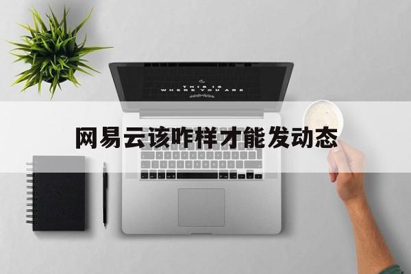 网易云该咋样才能发动态