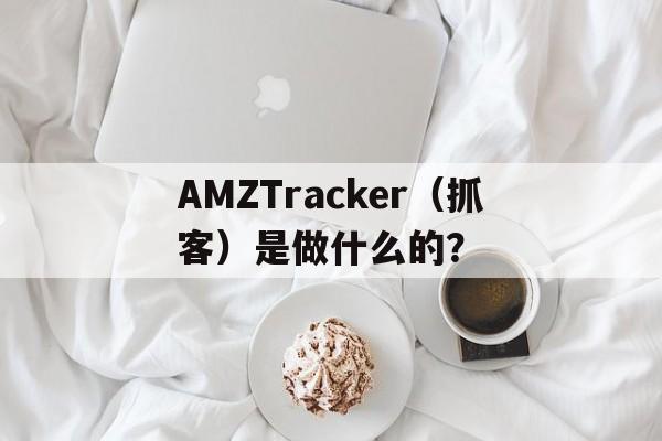 AMZTracker（抓客）是做什么的？