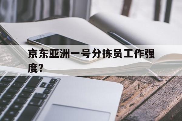 京东亚洲一号分拣员工作强度？