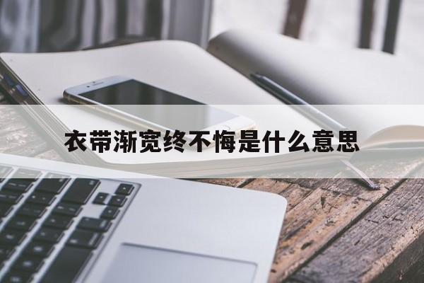 衣带渐宽终不悔是什么意思