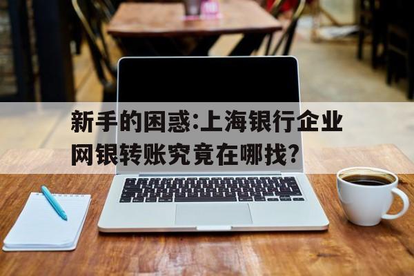新手的困惑:上海银行企业网银转账究竟在哪找?